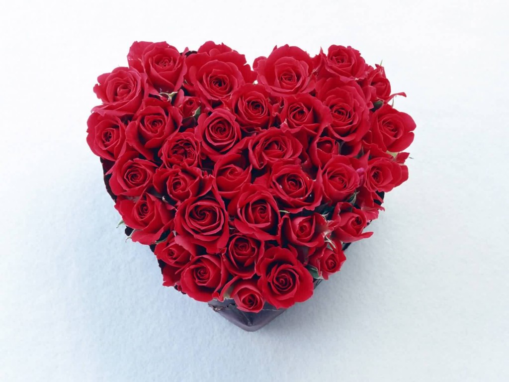 red-rose-heart